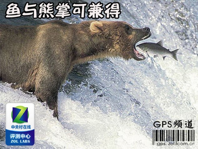 魚與熊掌