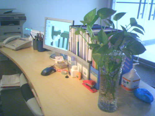 綠化辦公室 綠化辦公室