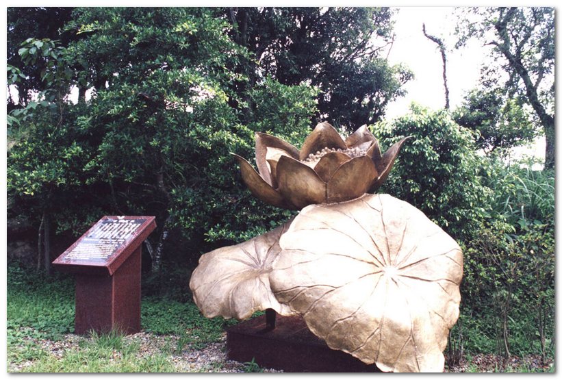 華梵大學法雨人華 華梵大學法雨人華