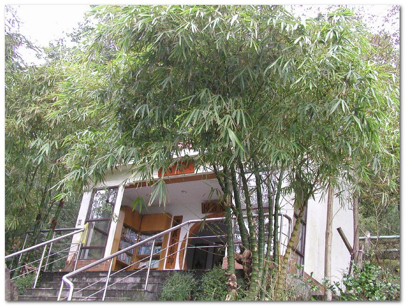 華梵大學 華梵大學
