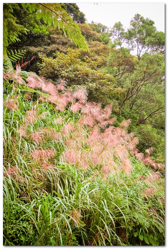 華梵大學
