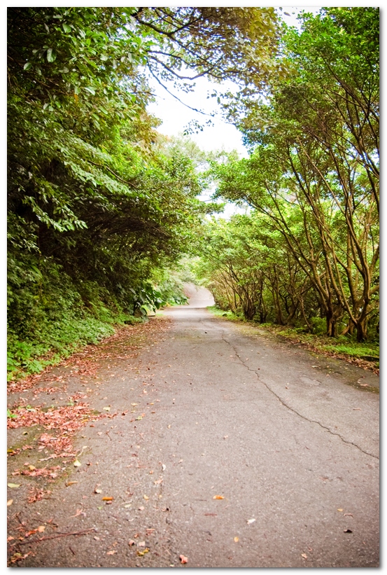 華梵大學