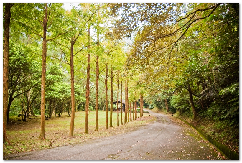 華梵大學