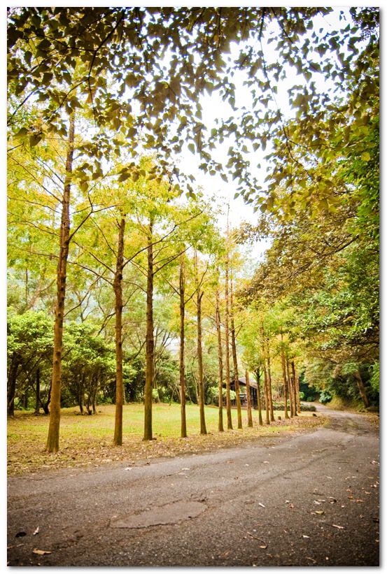 華梵大學