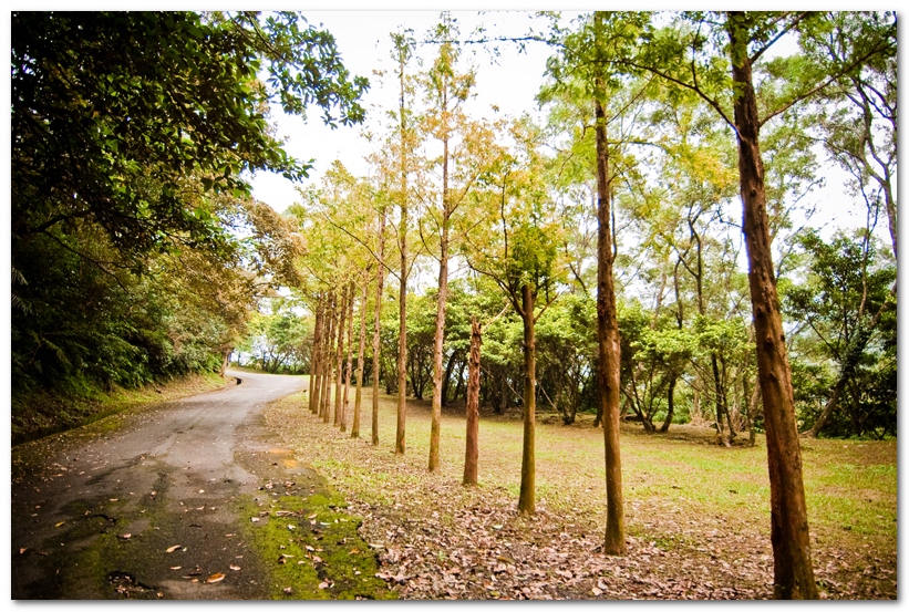 華梵大學