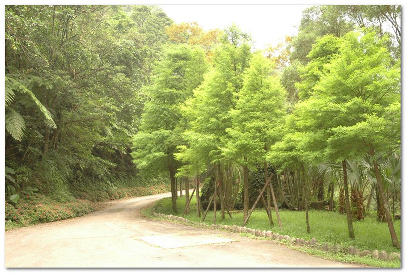 華梵大學