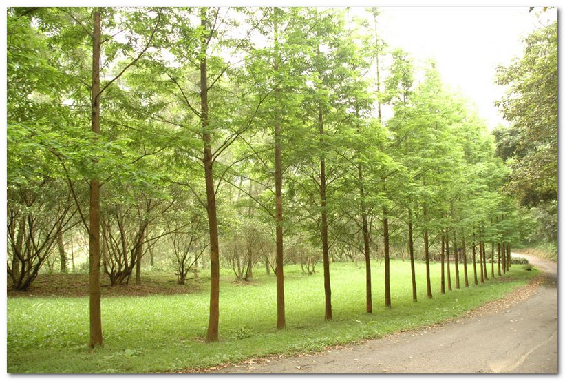 華梵大學