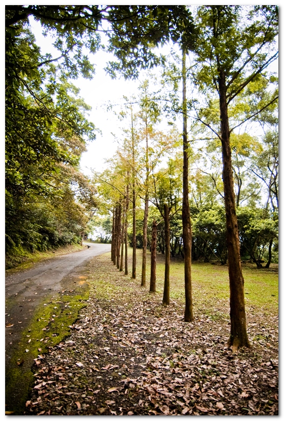 華梵大學