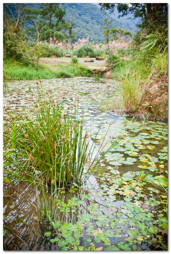 華梵大學 華梵大學