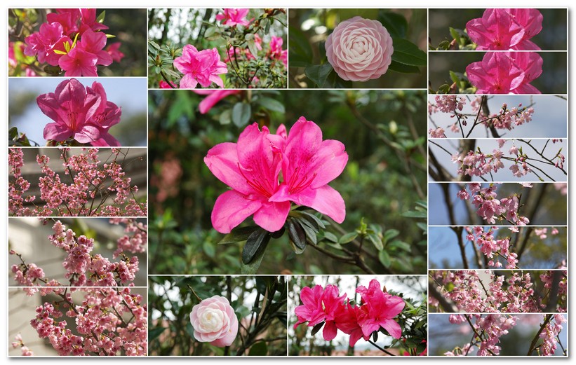 華梵大學 華梵大學